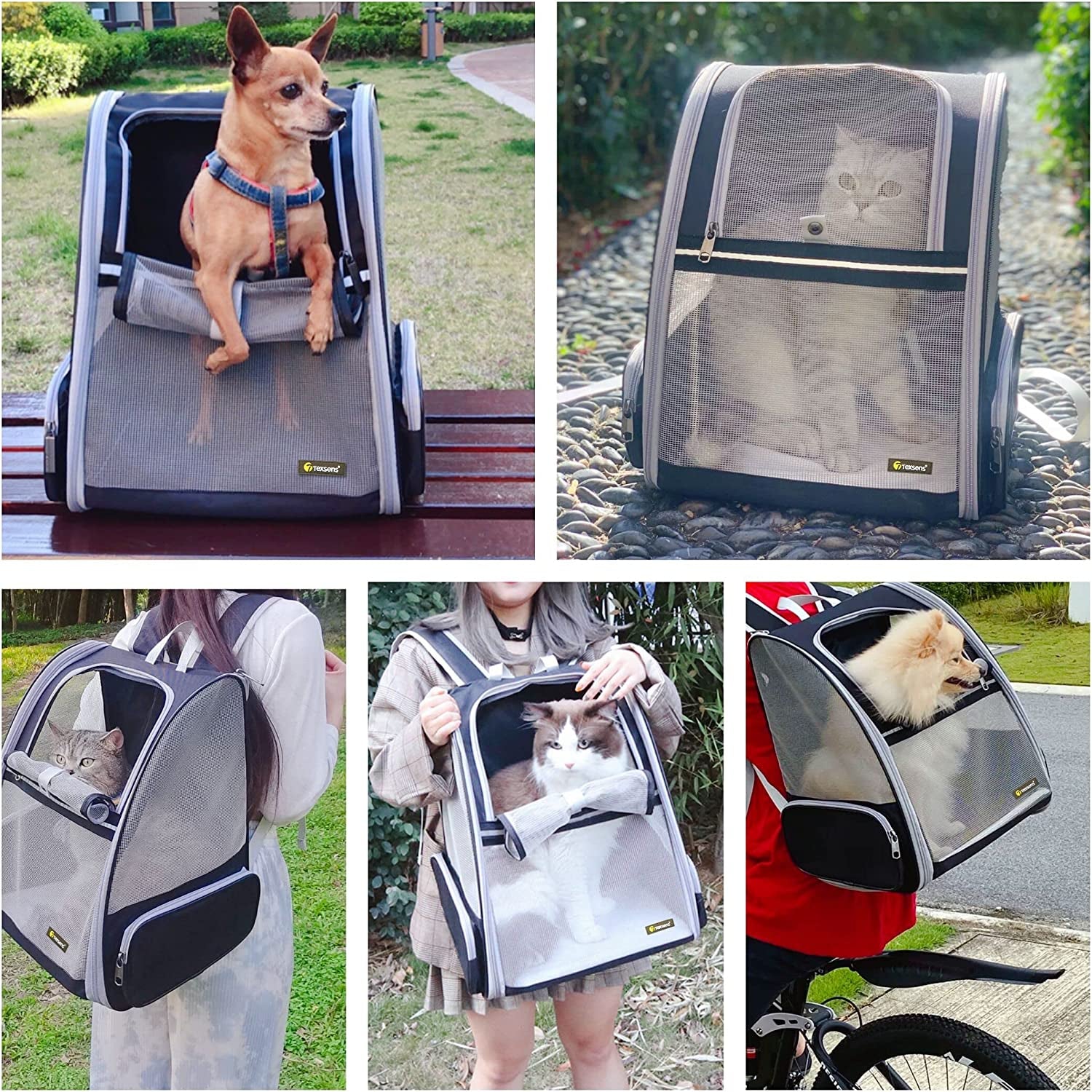 Innovative Bubble Backpack Pet Carrier: for Cats and Dogs, Black