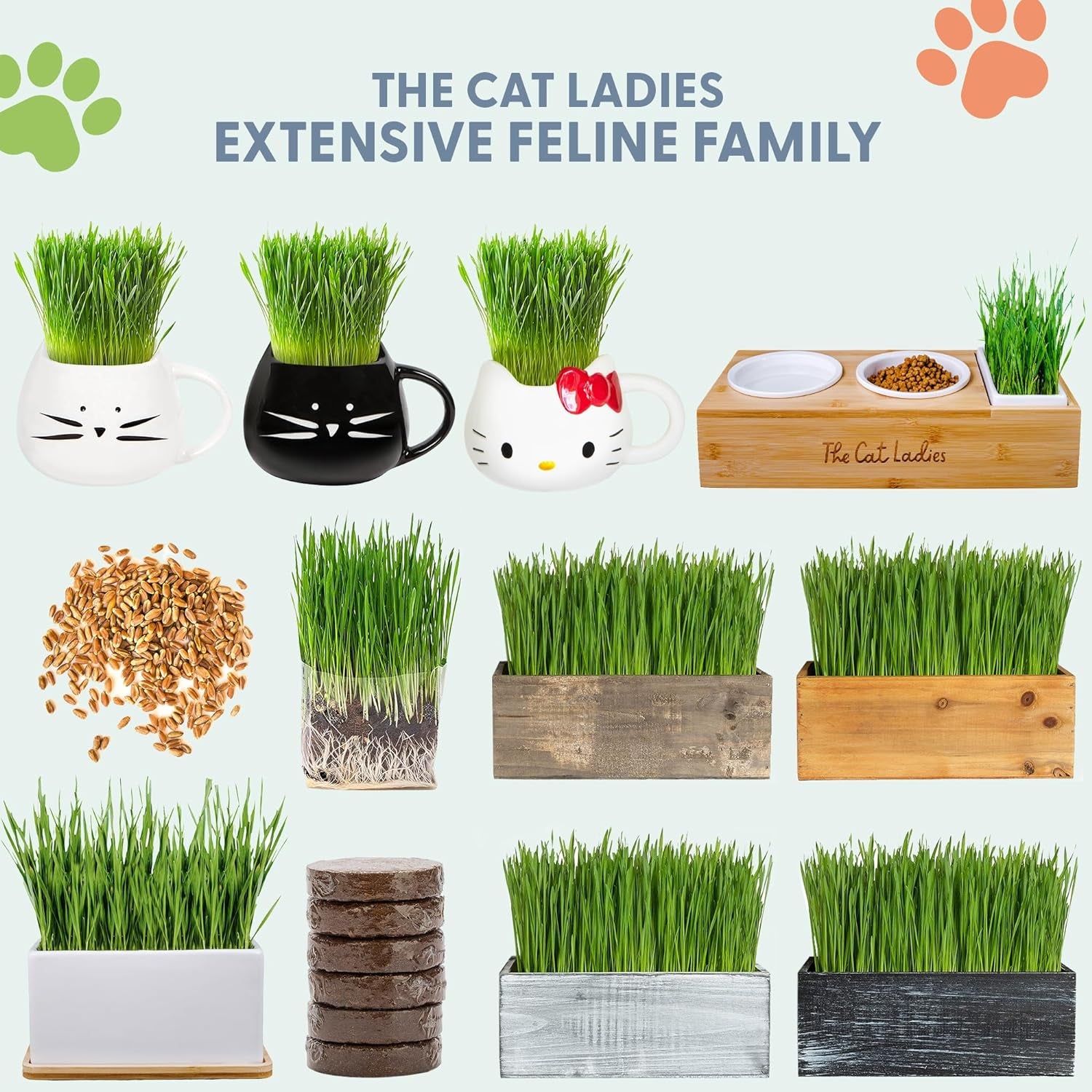 Organic Cat Grass Growing Kit: Natural Hairball Control, Cat Planter Included