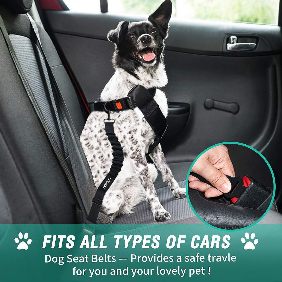 Retractable Dog Seat Belt Set: Adjustable, Heavy-Duty Nylon for Pet Safety